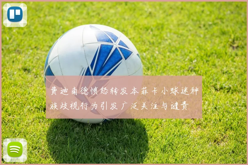 费迪南德愤怒转发本菲卡小球迷种族歧视行为引发广泛关注与谴责