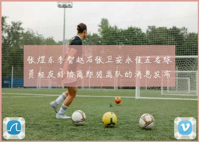 张煜东李智赵石张卫安永佳五名球员经友好协商即将离队的消息发布