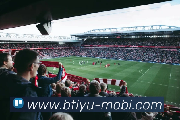 多媒体互动体验