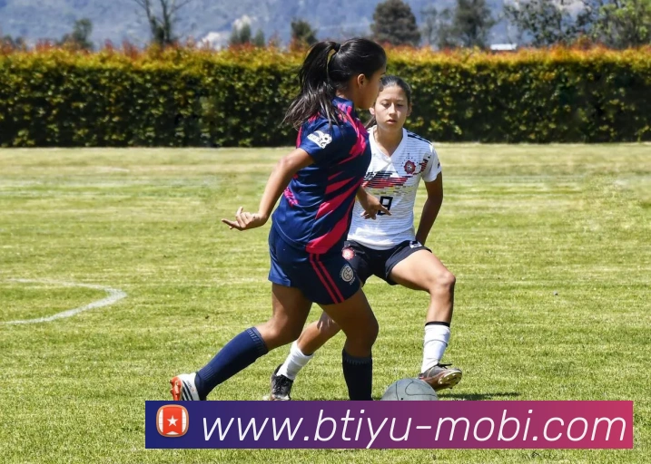 B体育APP 高清赛事图